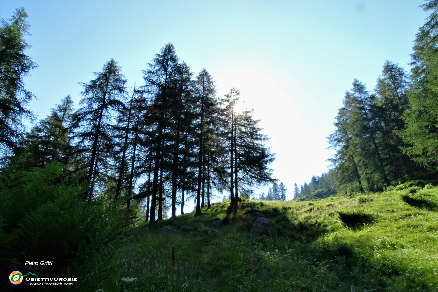 22 Salendo i pascoli delle Foppe.JPG
